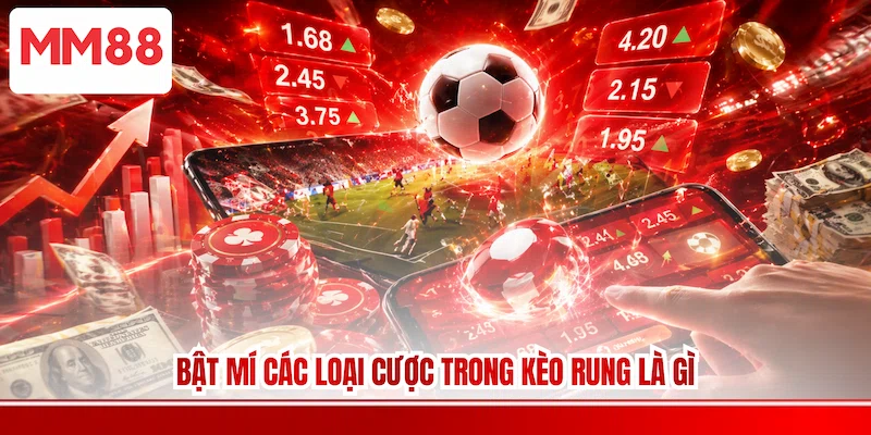 Bật mí các loại cược trong kèo rung là gì
