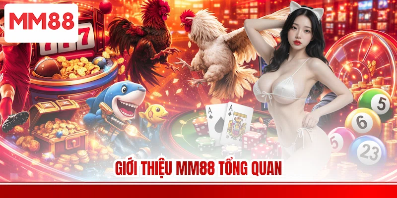 Giới thiệu MM88 tổng quan