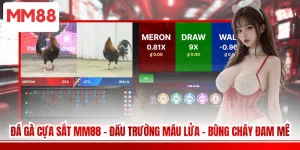 Đá Gà Cựa Sắt MM88 - Đấu Trường Máu Lửa - Bùng Cháy Đam Mê