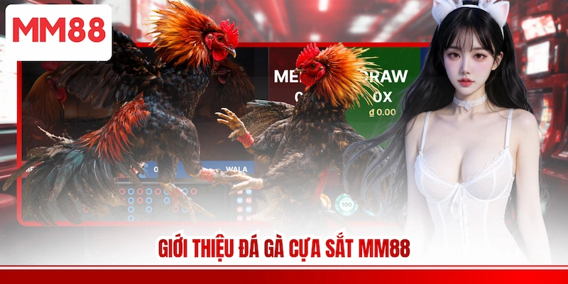 Giới thiệu Đá gà cựa sắt MM88