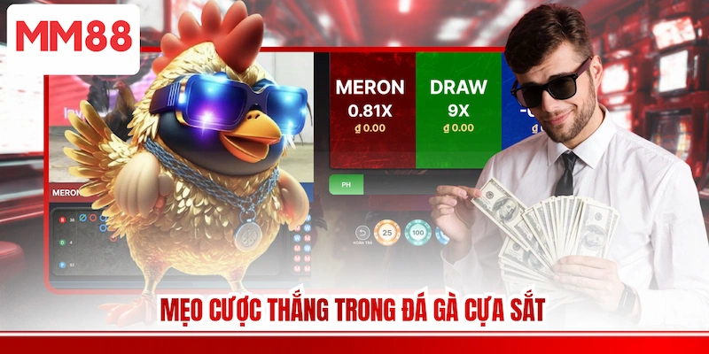 Mẹo cược thắng trong Đá gà cựa sắt 